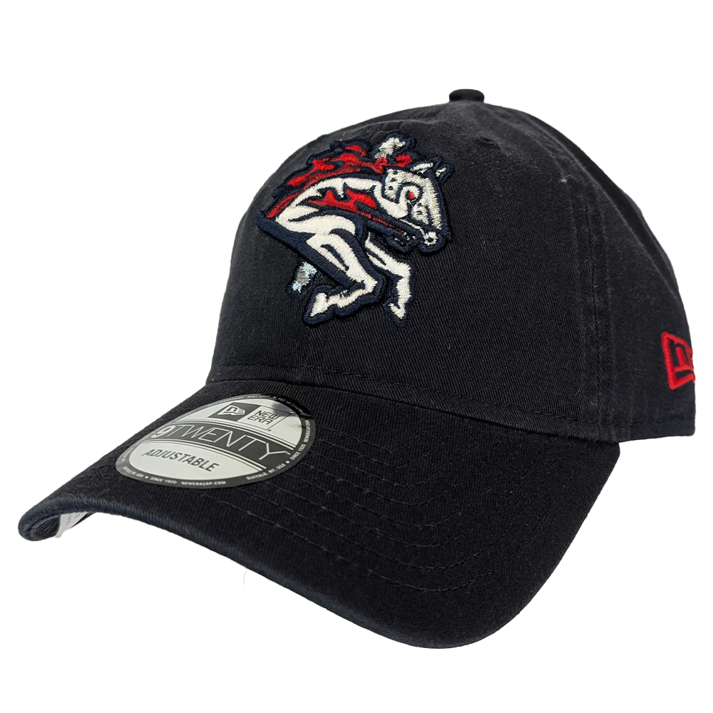'47 Brand Navy Primary Clean Up - Image 2