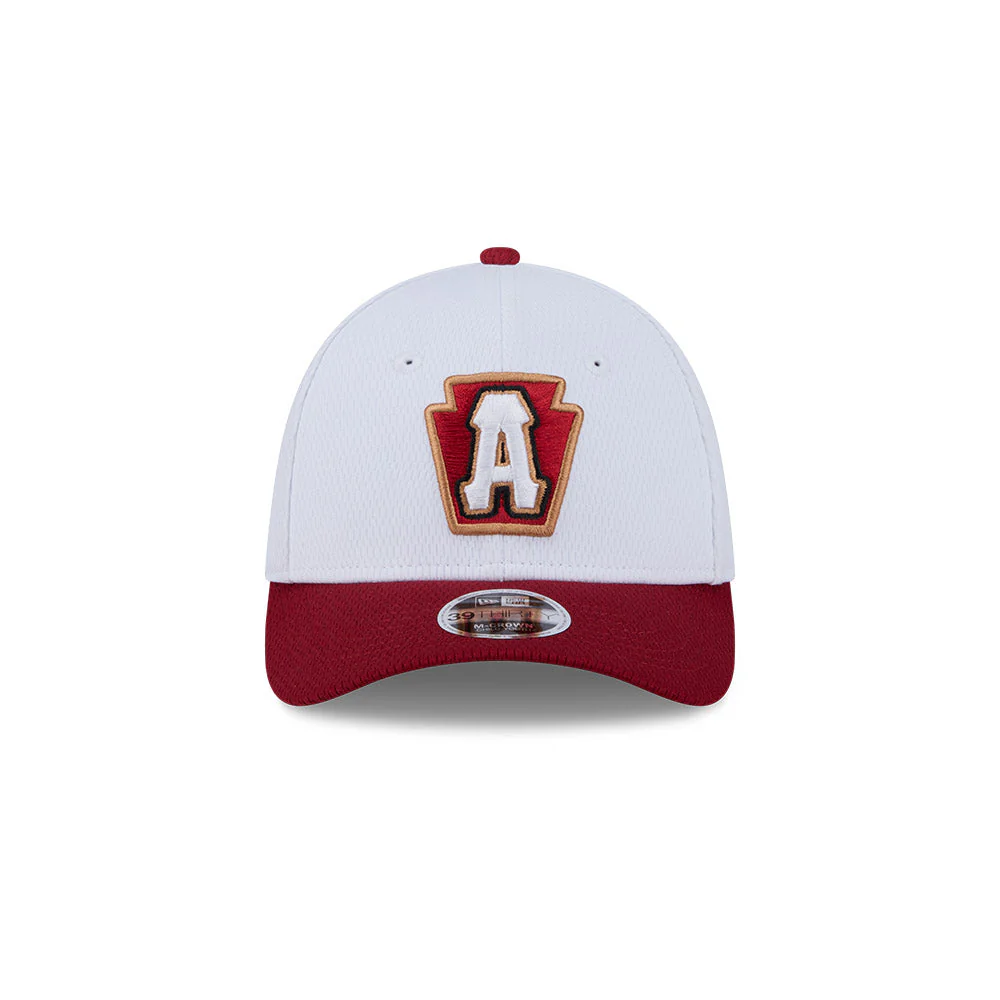Altoona Curve New Era Youth and Toddler Baseball 39Thirty - Image 3