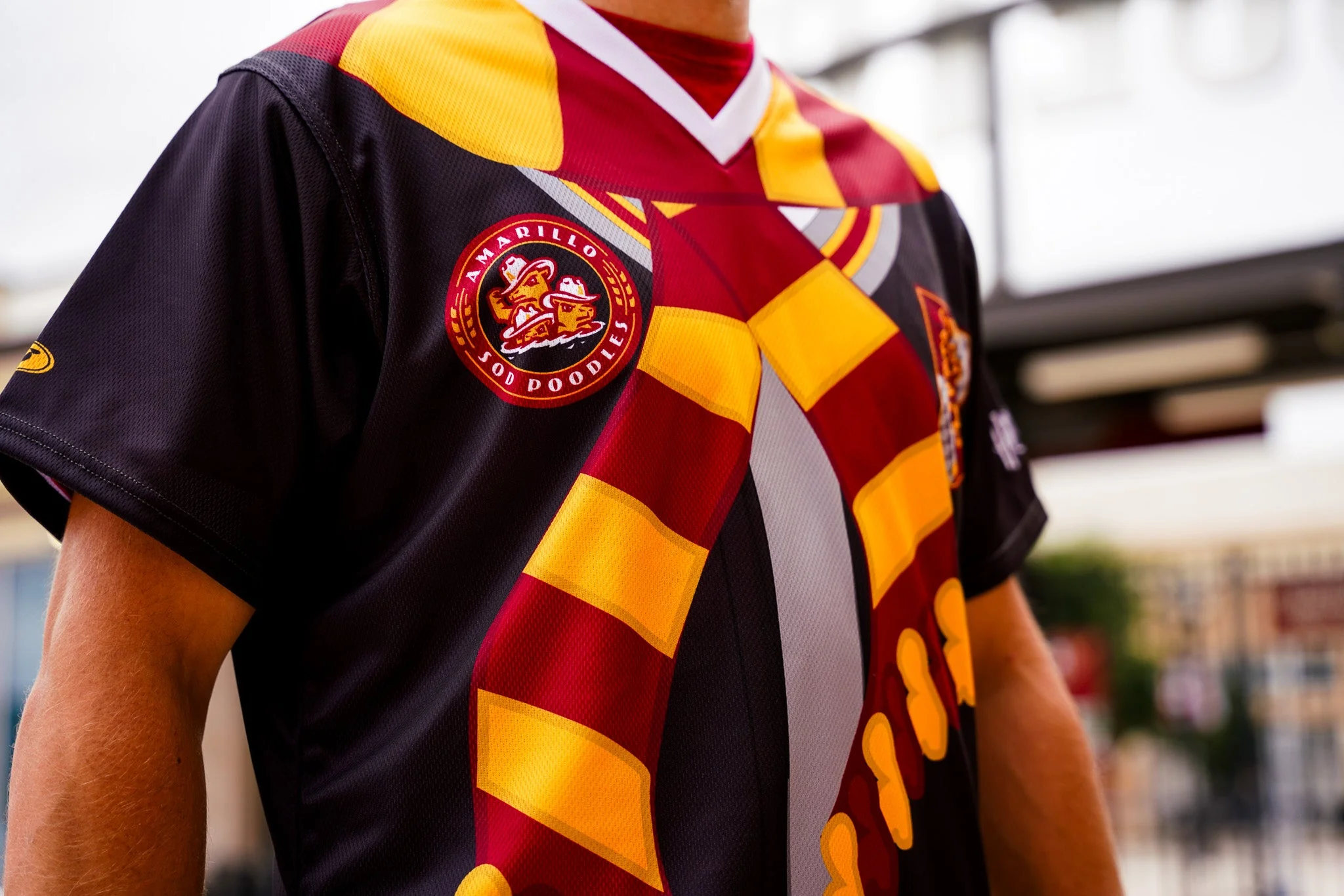 Amarillo Sod Poodles 2026 Harry Potter Jersey - Image 2