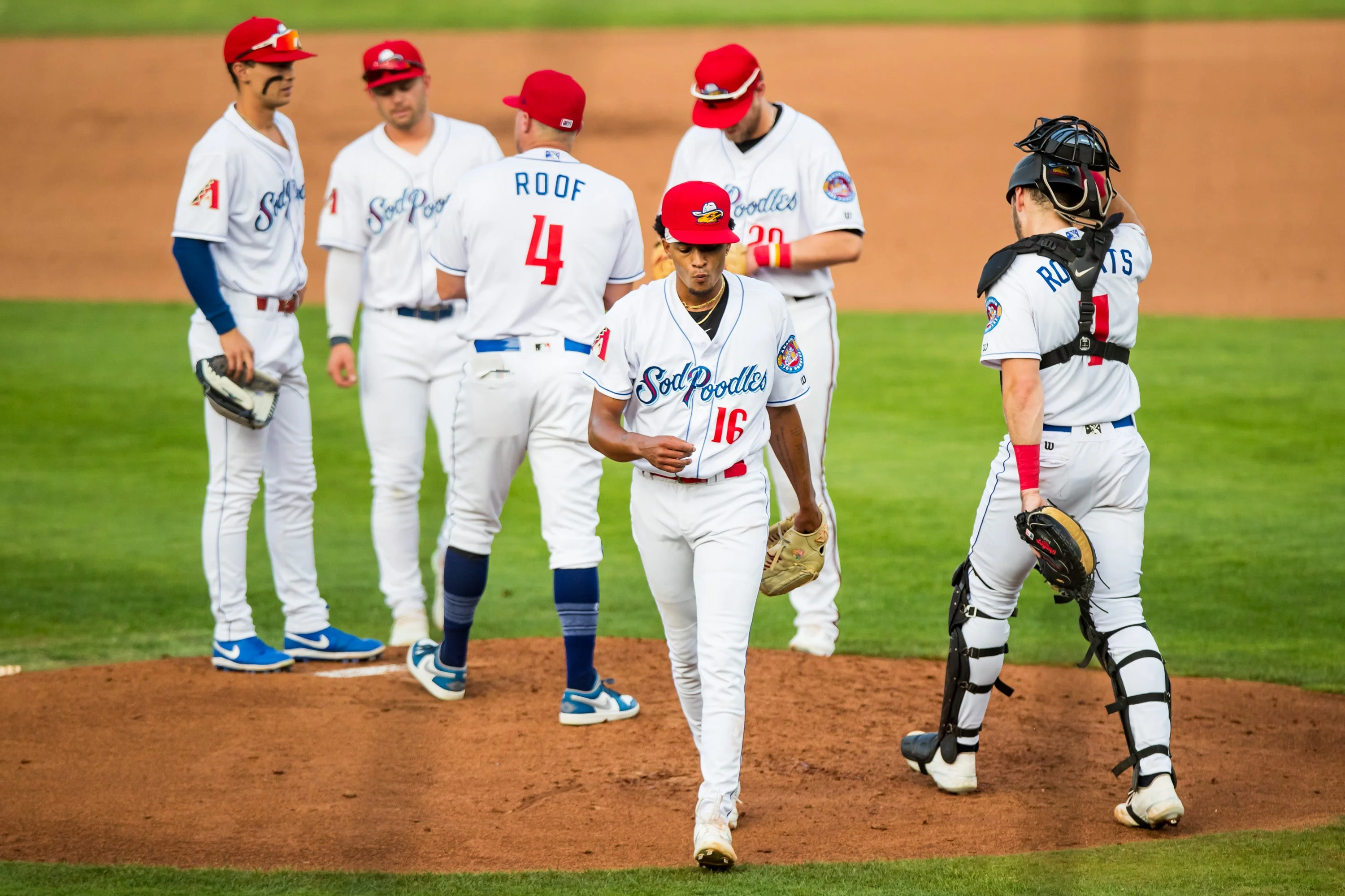 Amarillo Sod Poodles Inaugural Jersey Collection - Former Players
