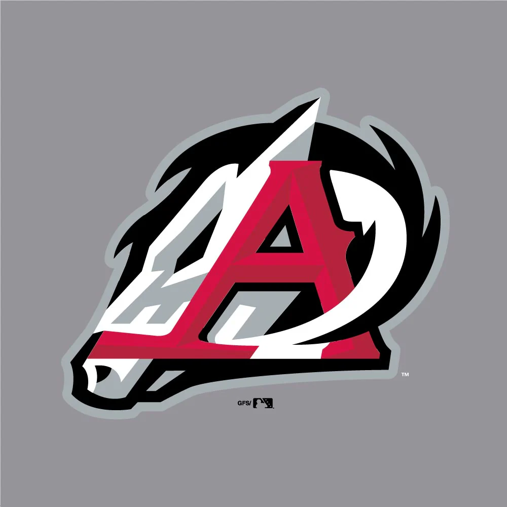 Arkansas Travelers Champion Women's Triumph LS Fleece Crew - Image 2