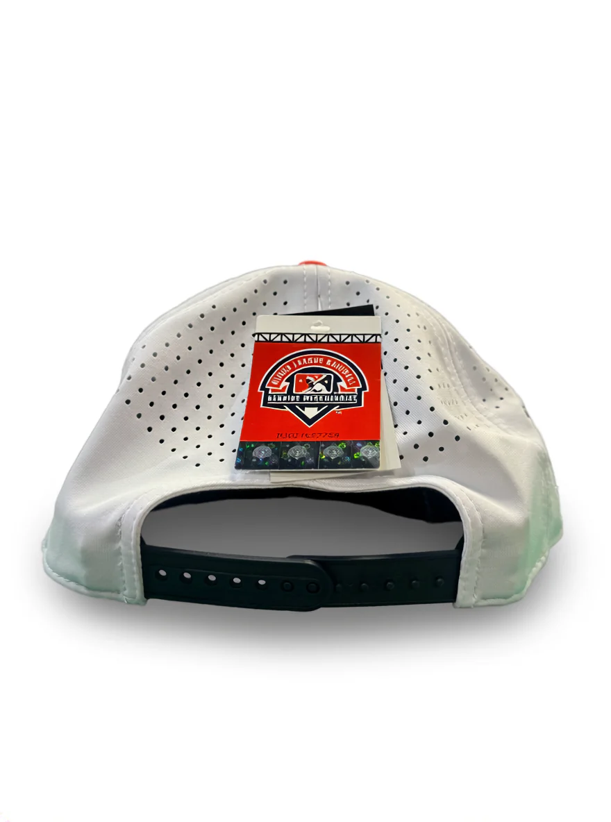 Black Clover Tri-Color Hub City Spartanburgers Hat - Image 3