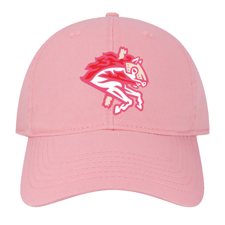 Binghamton Rumble Ponies Good Witch Wicked Hat