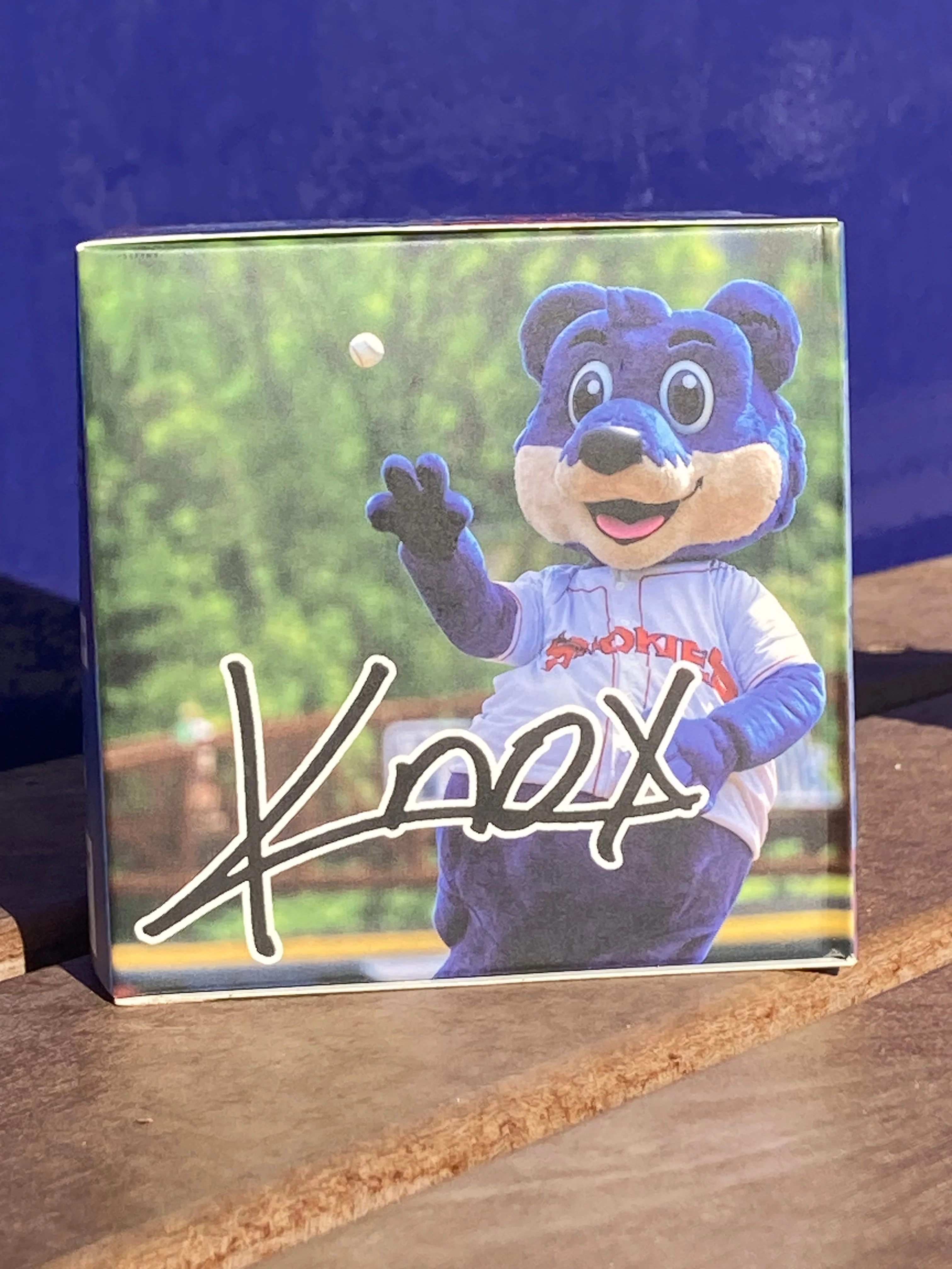 Build-A-Mascot - Image 5
