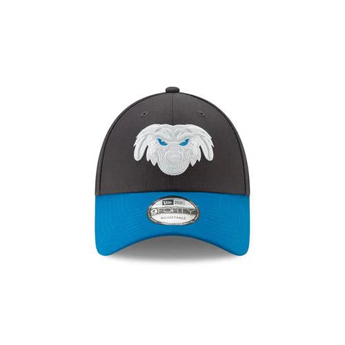 Lake Elsinore Storm Cadejos 9Forty Adjustable - Gray - Image 3