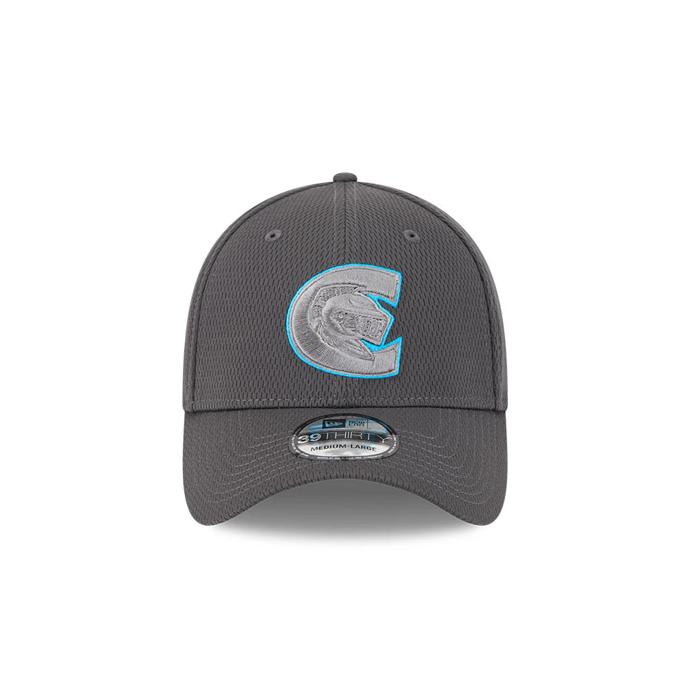 Charlotte Knights 2025 Evergreen 39THIRTY Stretch Fit Cap - Image 3