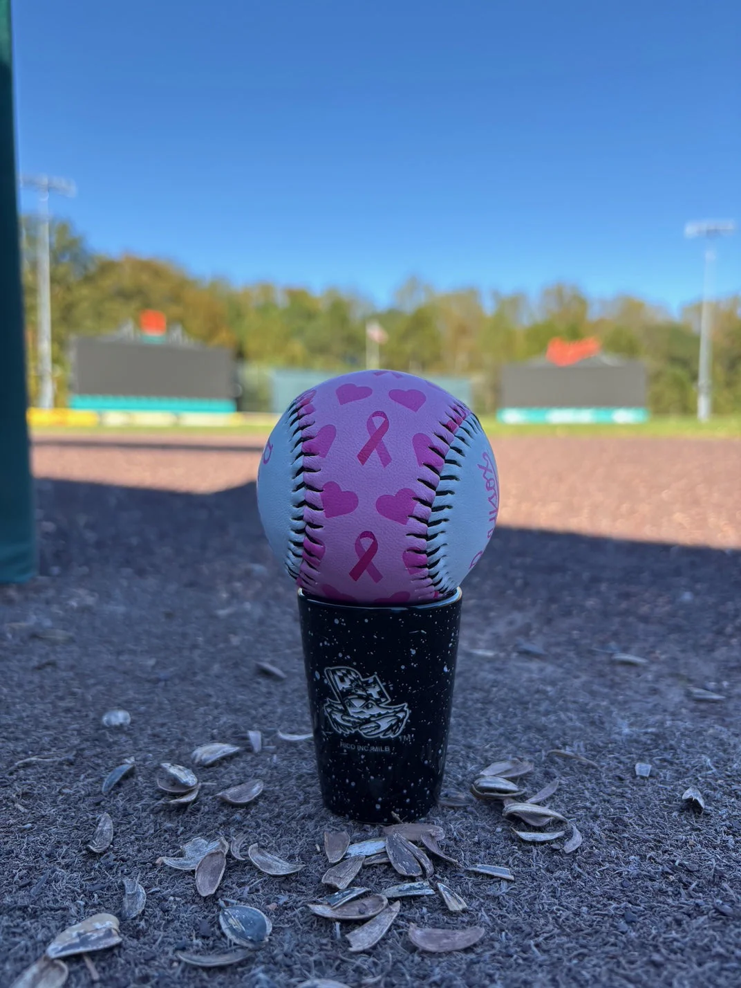 Chesapeake Baysox BASEBALL PINK RIBBON - Image 2