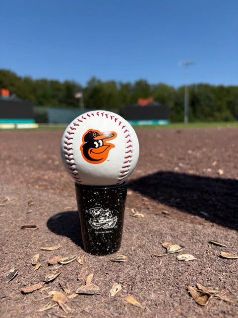 Chesapeake Baysox Crab Orioles Baseball - Image 2
