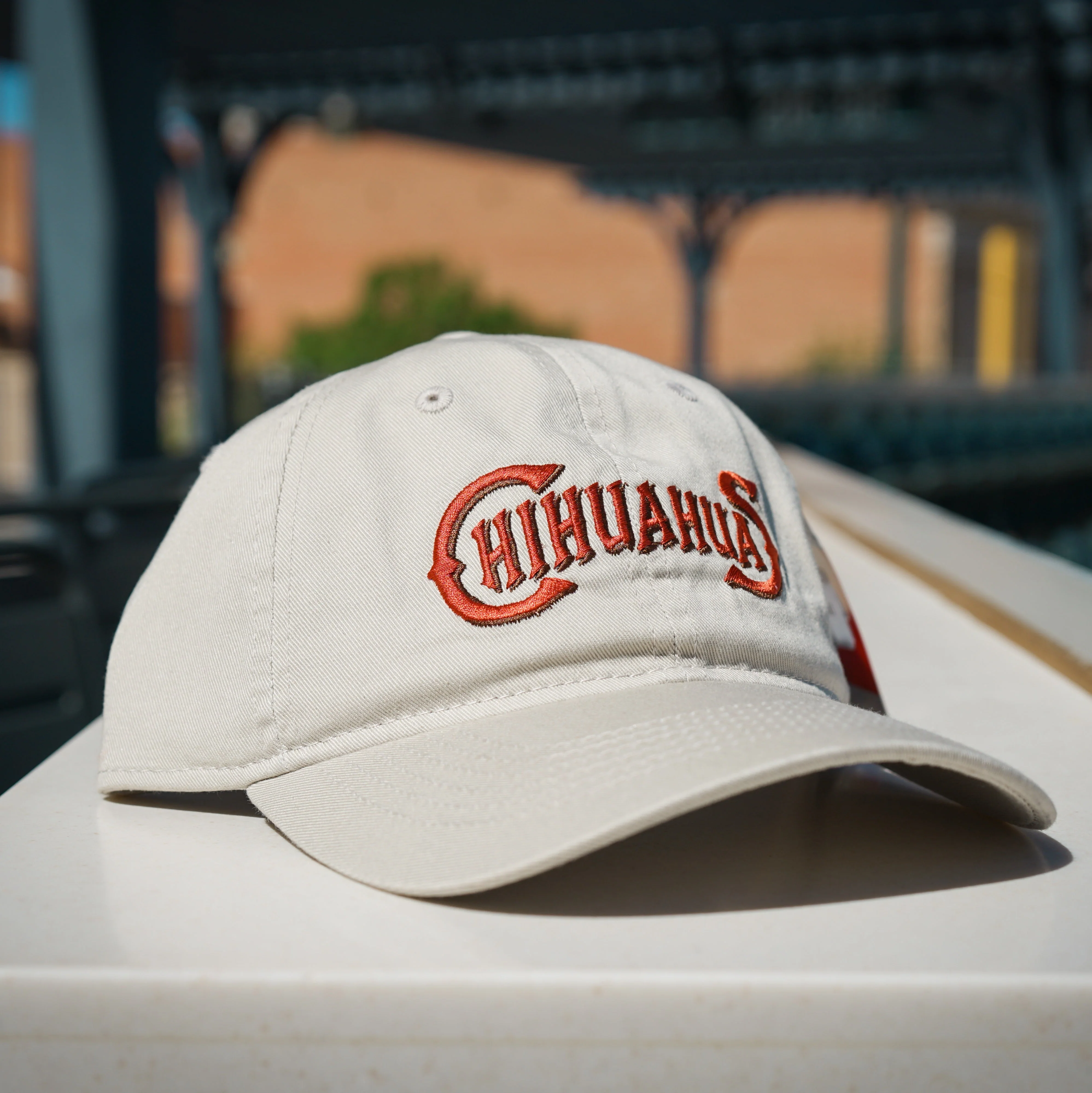 CHIHUAHAUS EARTHY WORDMARK ADJUSTABLE HAT- OC SPORTS