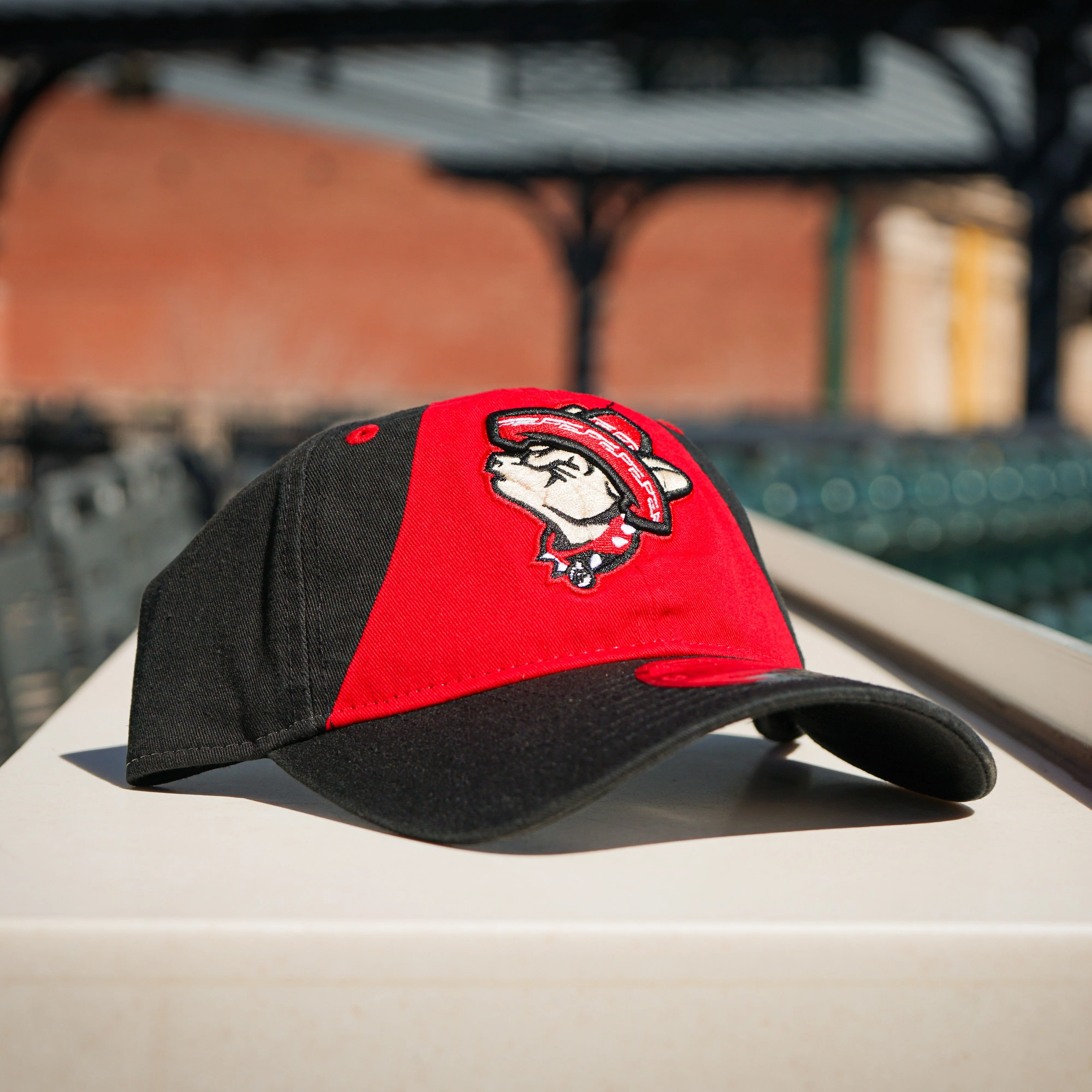 CHIHUAHUAS 920 HOWLING DOG ADJUSTABLE HAT- NEW ERA