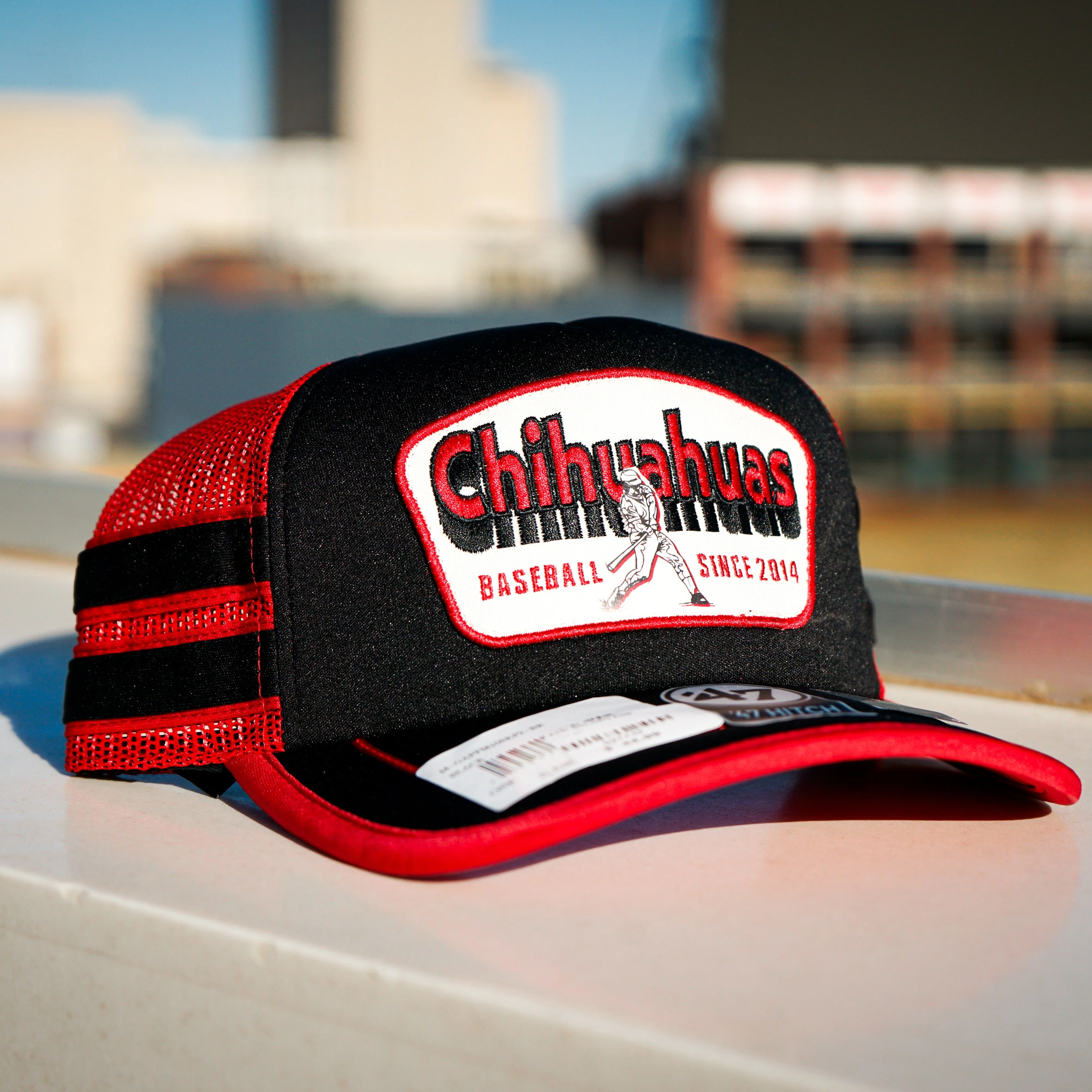 CHIHUAHUAS BLACK GOLDEN AGE SNAP BACK- 47 BRAND