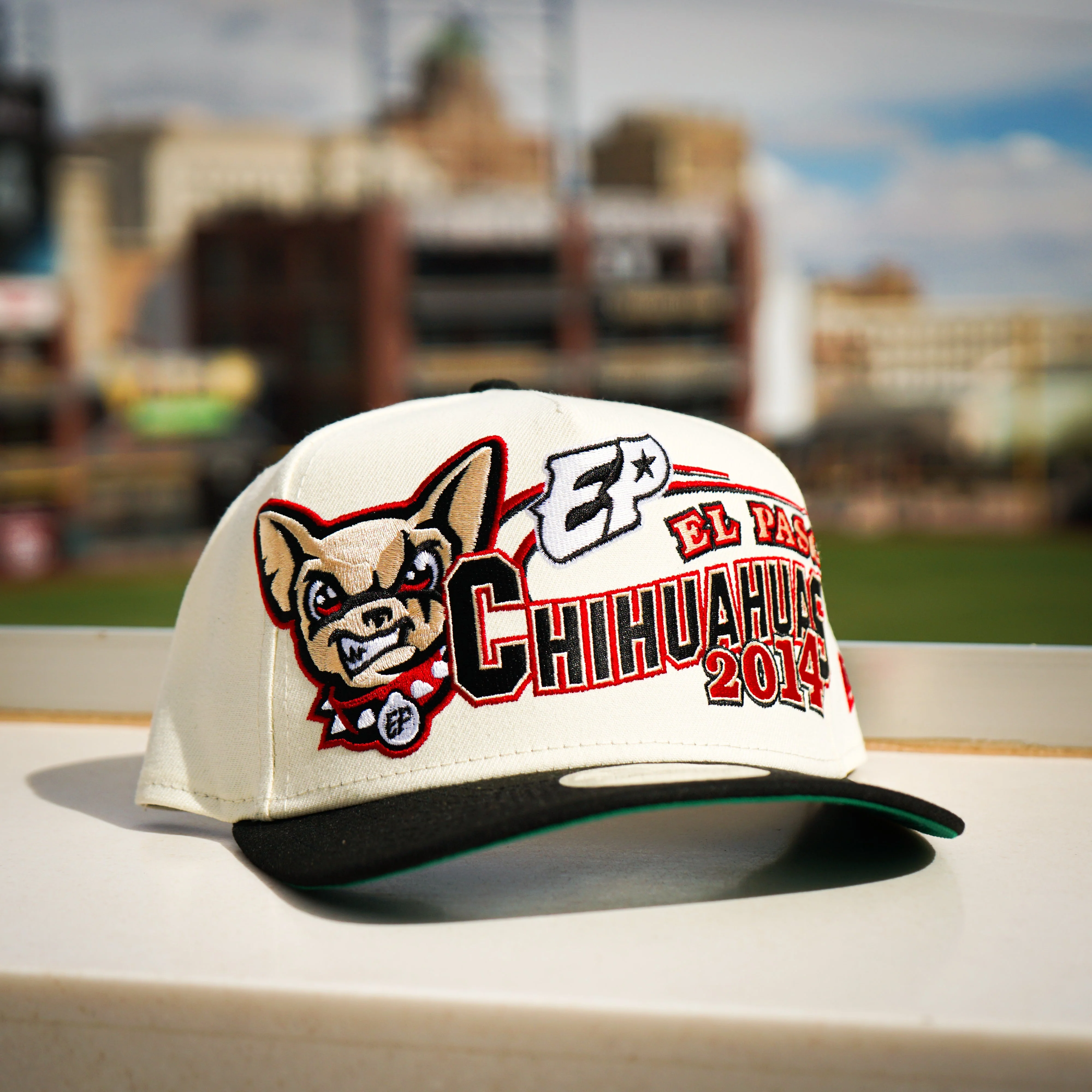 CHIHUAHUAS CLASSIC SNAP BACK HAT- NEW ERA