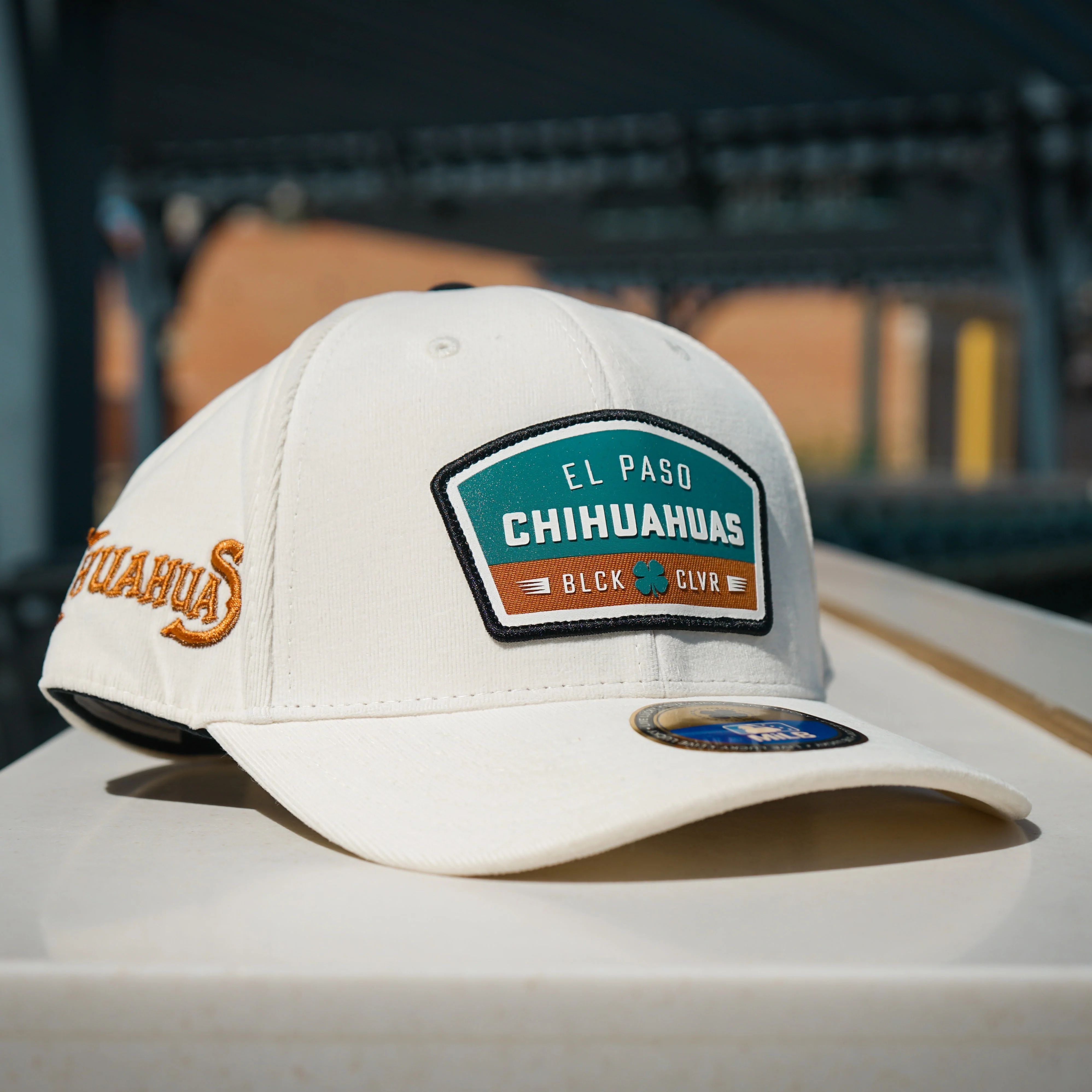 CHIHUAHUAS EARTHY BLACK CLOVER SNAP BACK