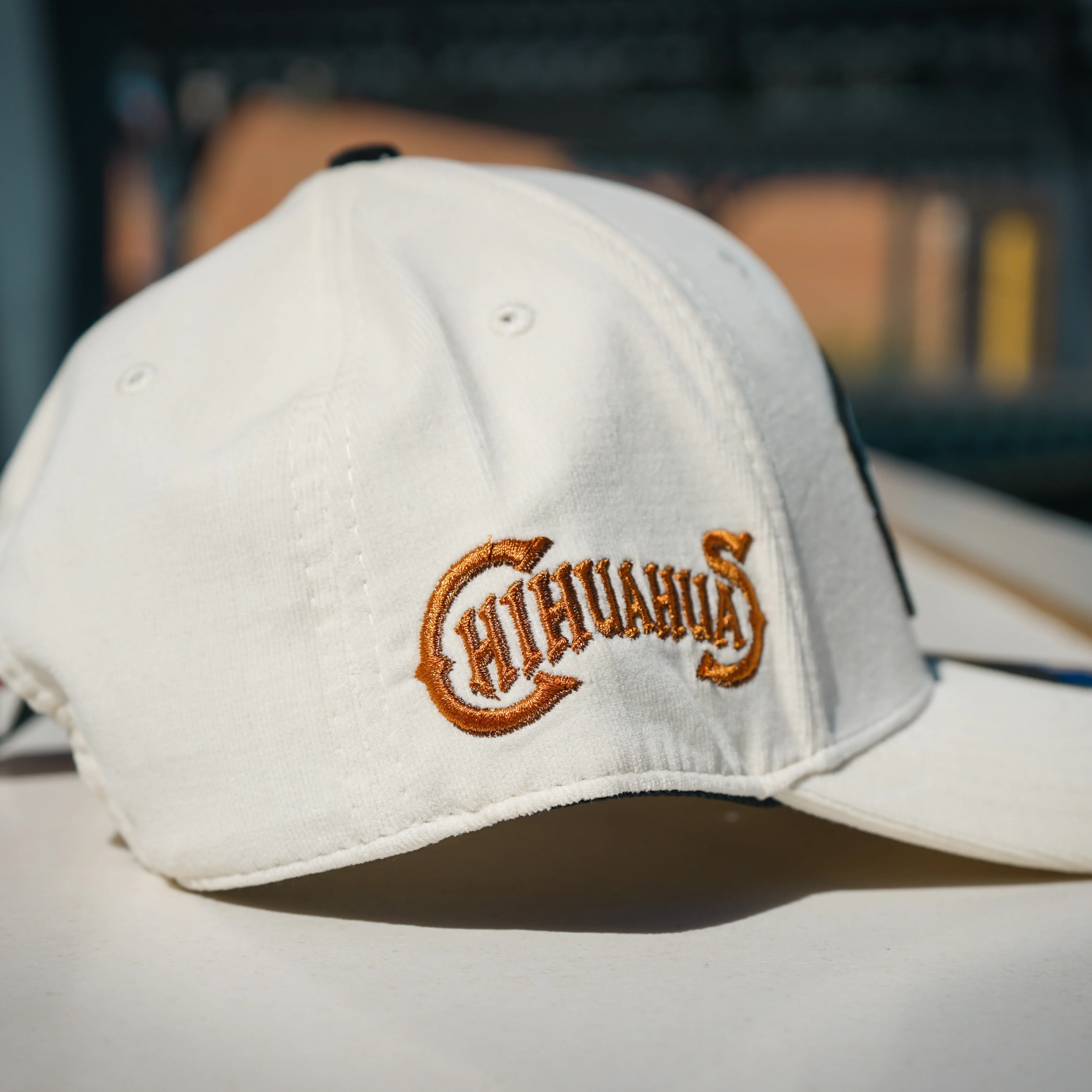 CHIHUAHUAS EARTHY BLACK CLOVER SNAP BACK - Image 2