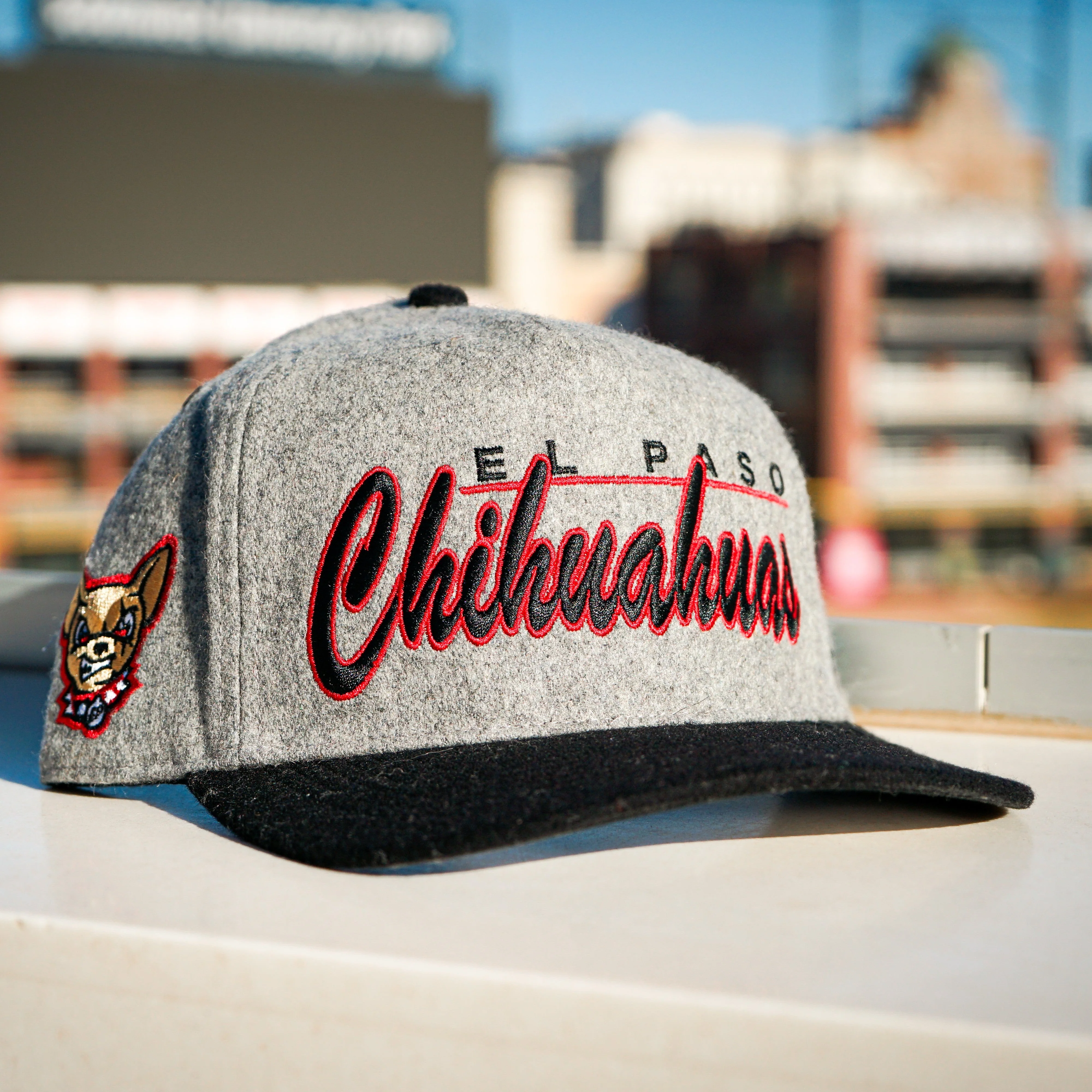 CHIHUAHUAS WOOL BRUSHMARK SNAP BACK- 47 BRAND