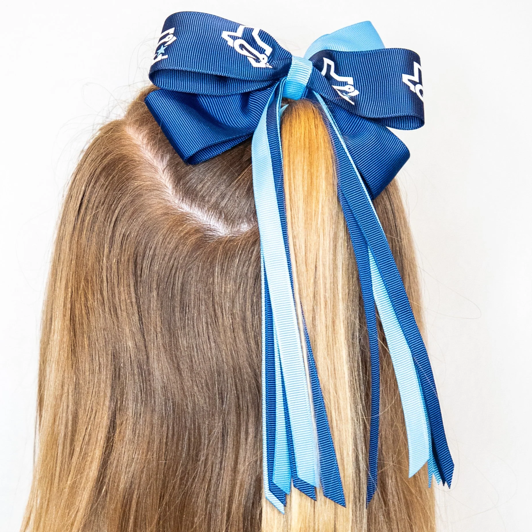 Corpus Christi Hooks Hair Bow - Streamer