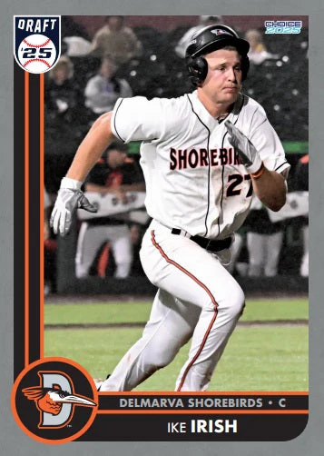 Delmarva Shorebirds 2025 Team Set - Image 6