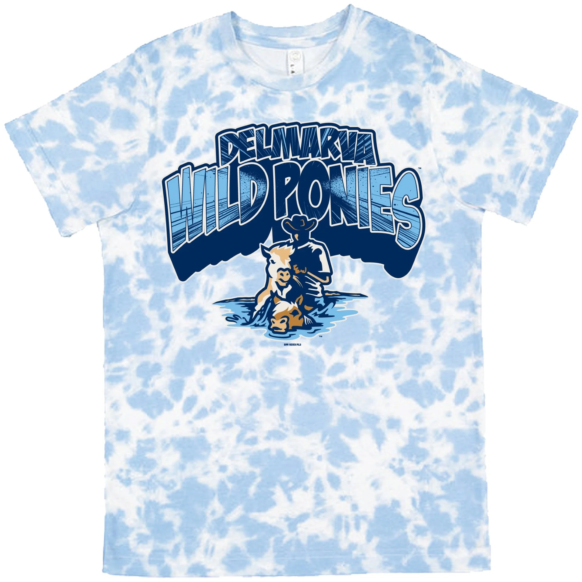 Delmarva Shorebirds Bimm Ridder Youth Wishful Wild Ponies Tee