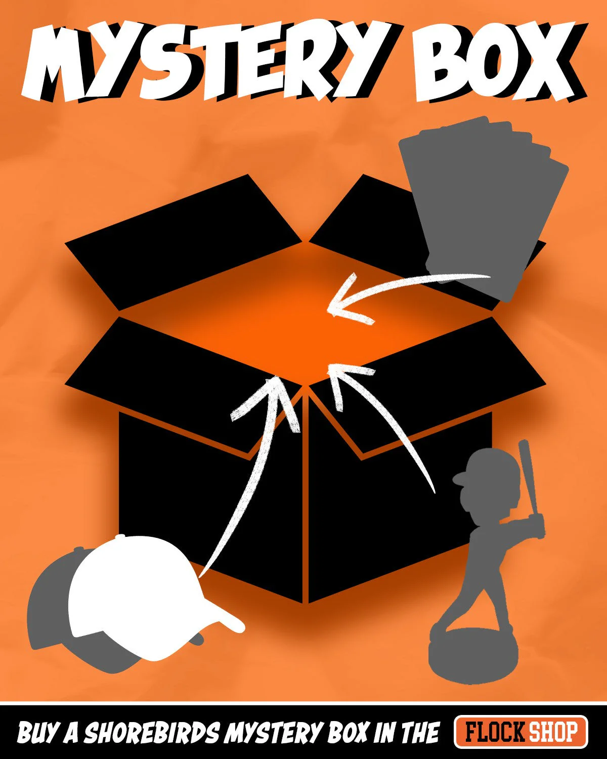 Delmarva Shorebirds Cap Mystery Box
