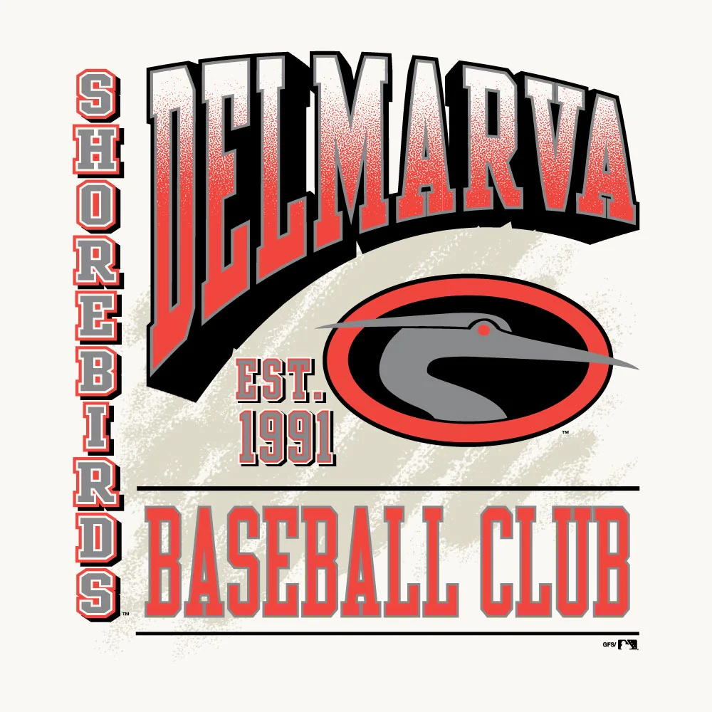 Delmarva Shorebirds Champion Heavyweight Traditional Tee - Image 2