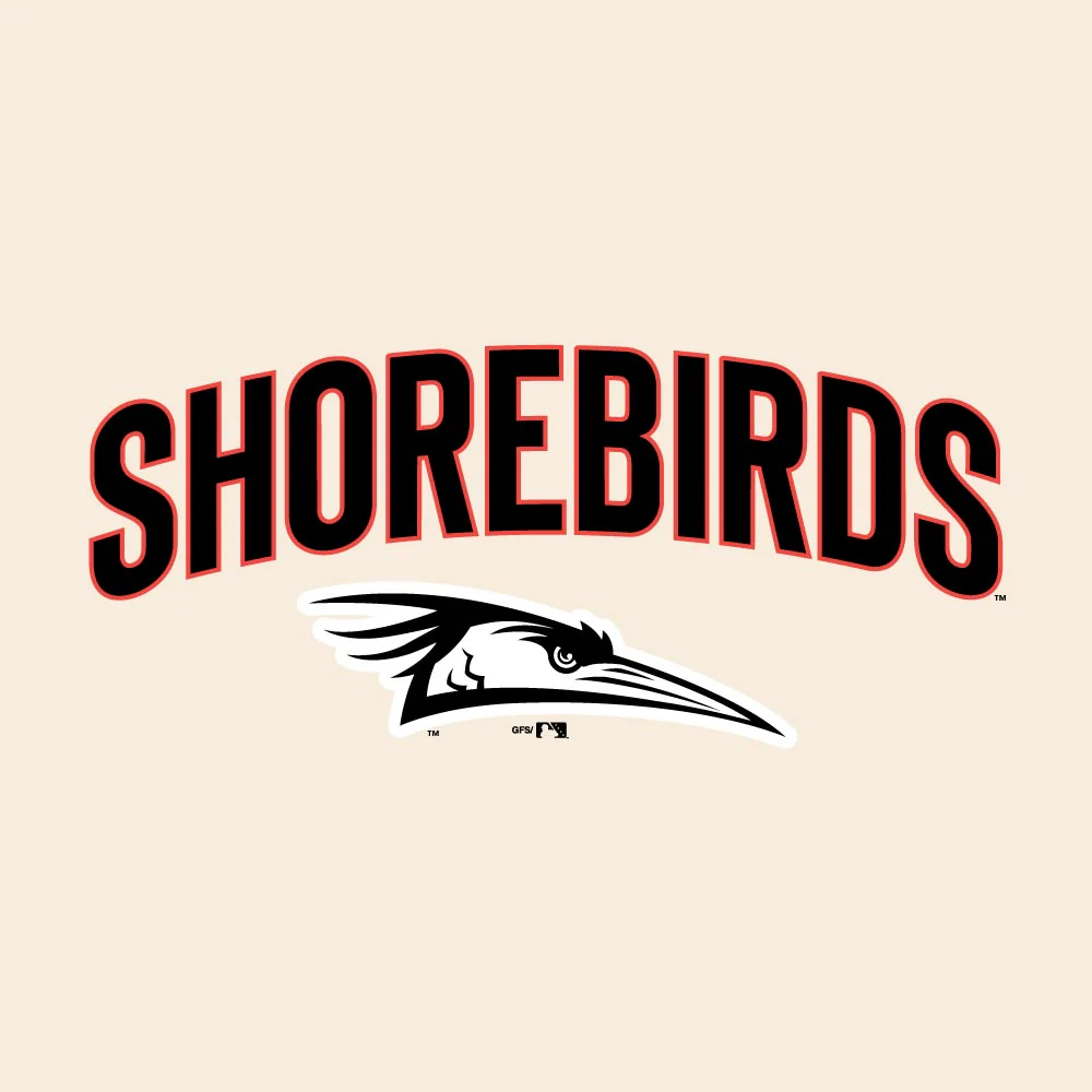 Delmarva Shorebirds Champion Reverse Weave Crewneck Sweatshirt - Image 2