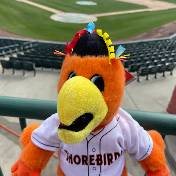 Delmarva Shorebirds FOCO Sherman 14" Plush - Image 2