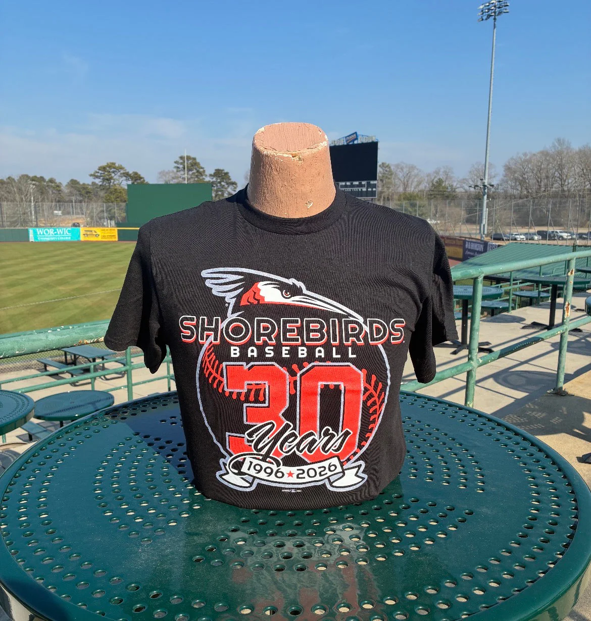 Delmarva Shorebirds GoTeez 30th Year Home Tee