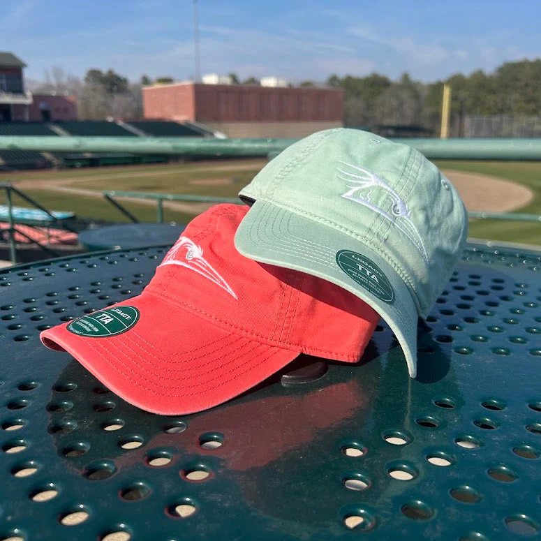 Delmarva Shorebirds L2 Terra Twill Aloe Cap - Image 2