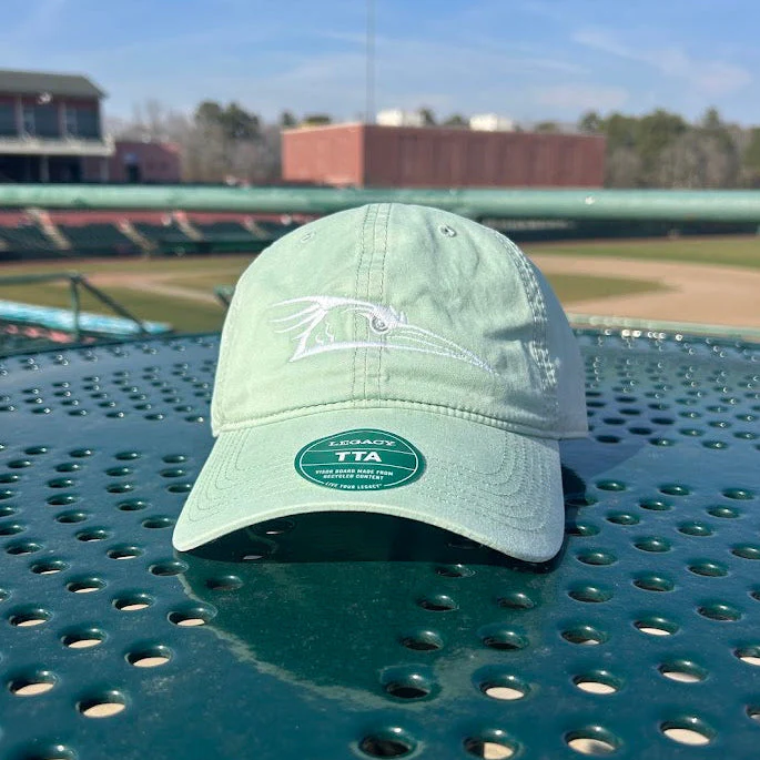 Delmarva Shorebirds L2 Terra Twill Aloe Cap - Image 3