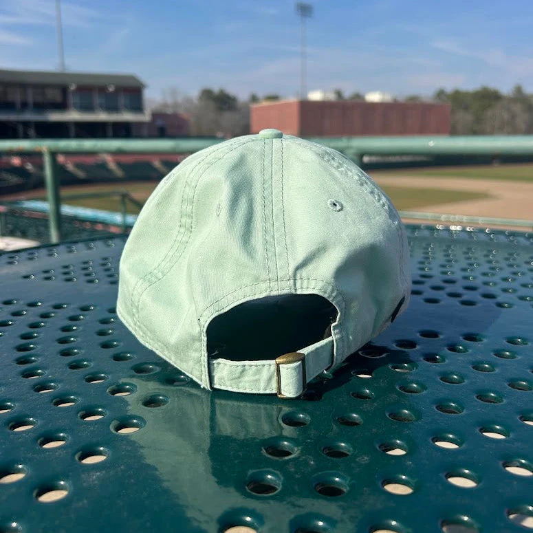 Delmarva Shorebirds L2 Terra Twill Aloe Cap - Image 4