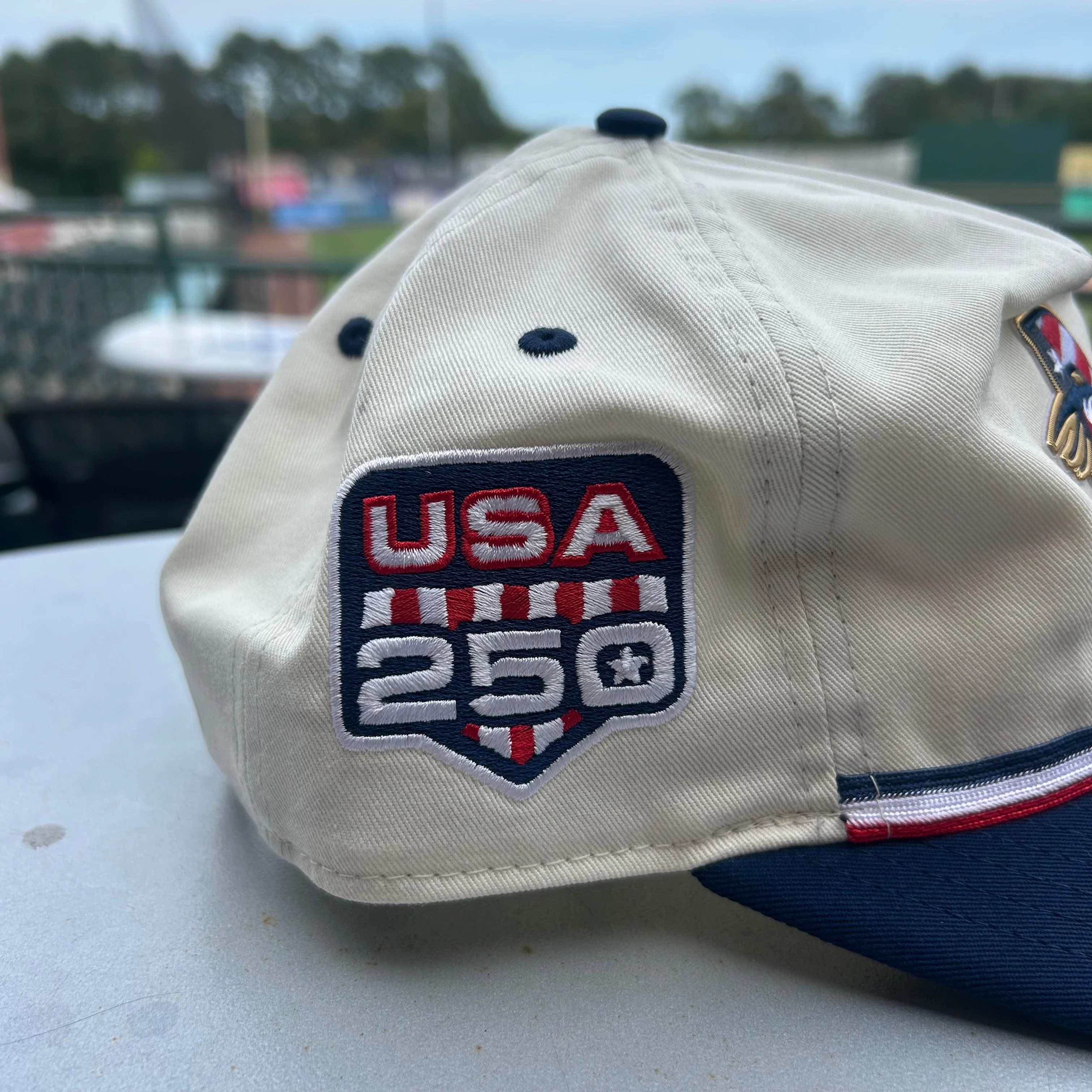Delmarva Shorebirds NEW ERA America 250 4th of July 19TWENTY Cap - Image 2