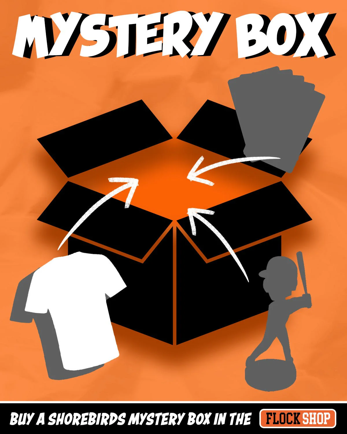 Delmarva Shorebirds T-Shirt Mystery Box