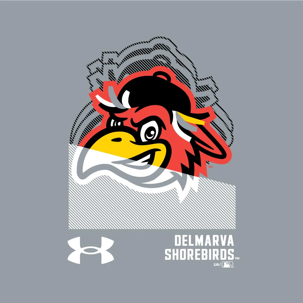 Delmarva Shorebirds Under Armour Youth Fleece Hoodie - Image 2