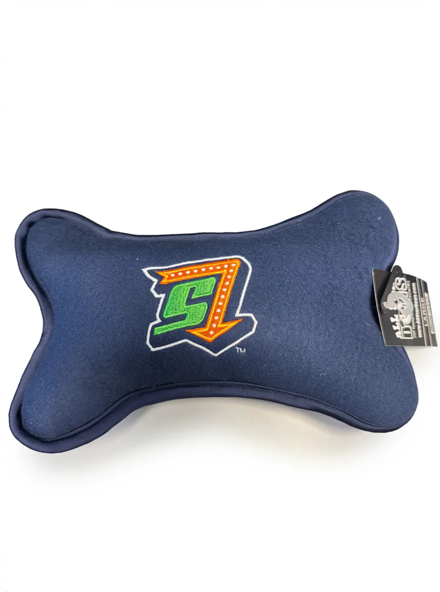 Dog Bone Toy