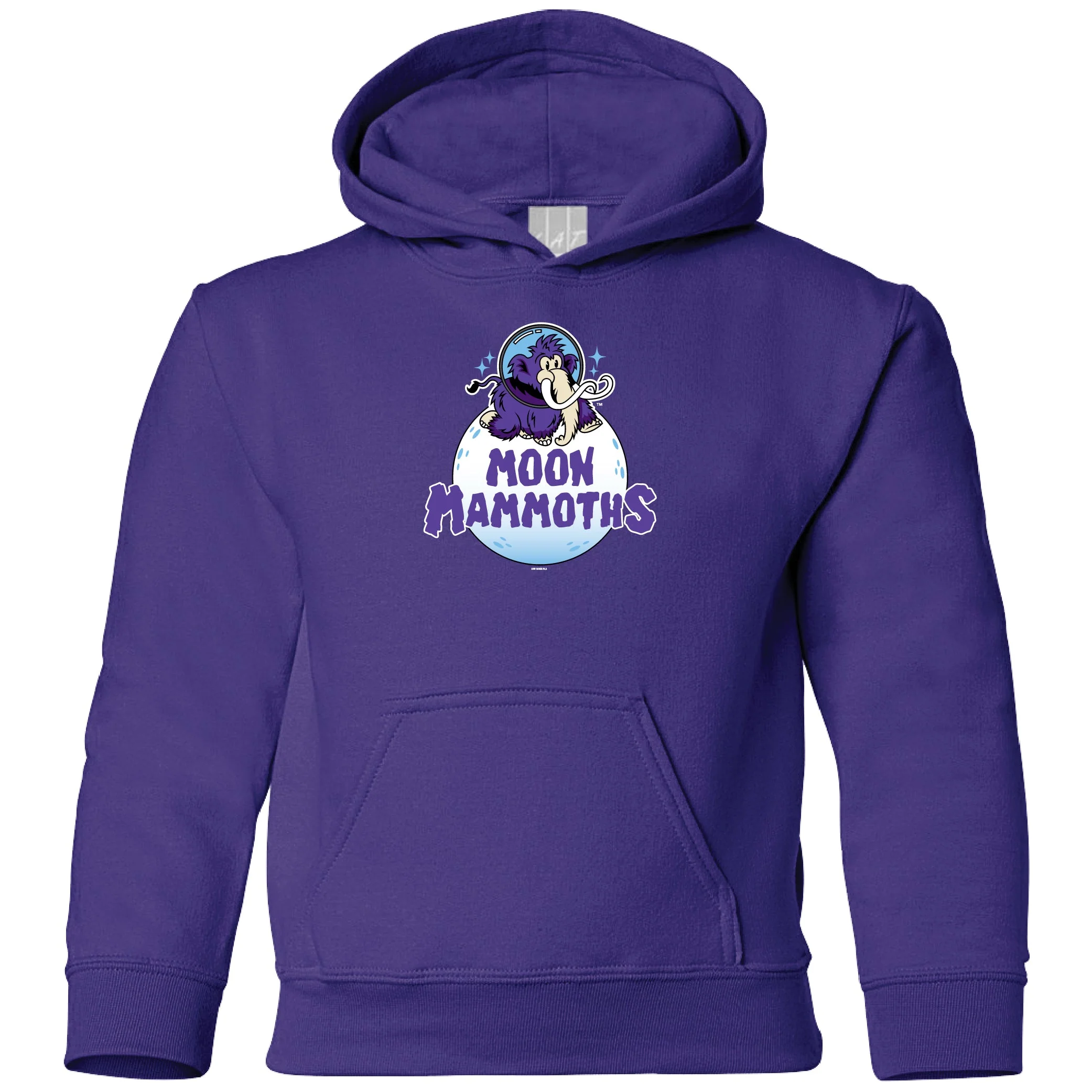 Erie SeaWolves BR Moon Mammoths Youth Hoodie