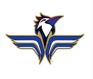 Fayetteville Woodpeckers New Era YTH Marvel 9T Adjustable Cap - Image 4