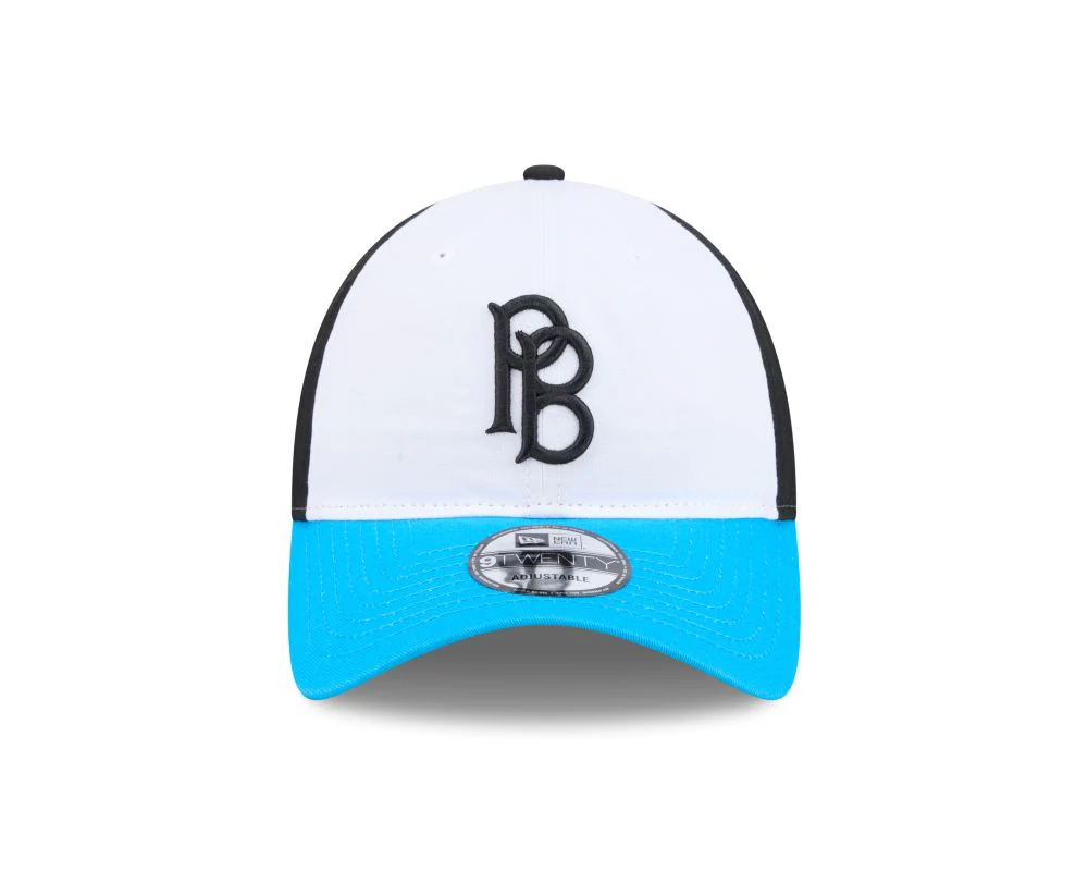 Fort Wayne PufferBellies 2026 9TWENTY Cap - Image 3