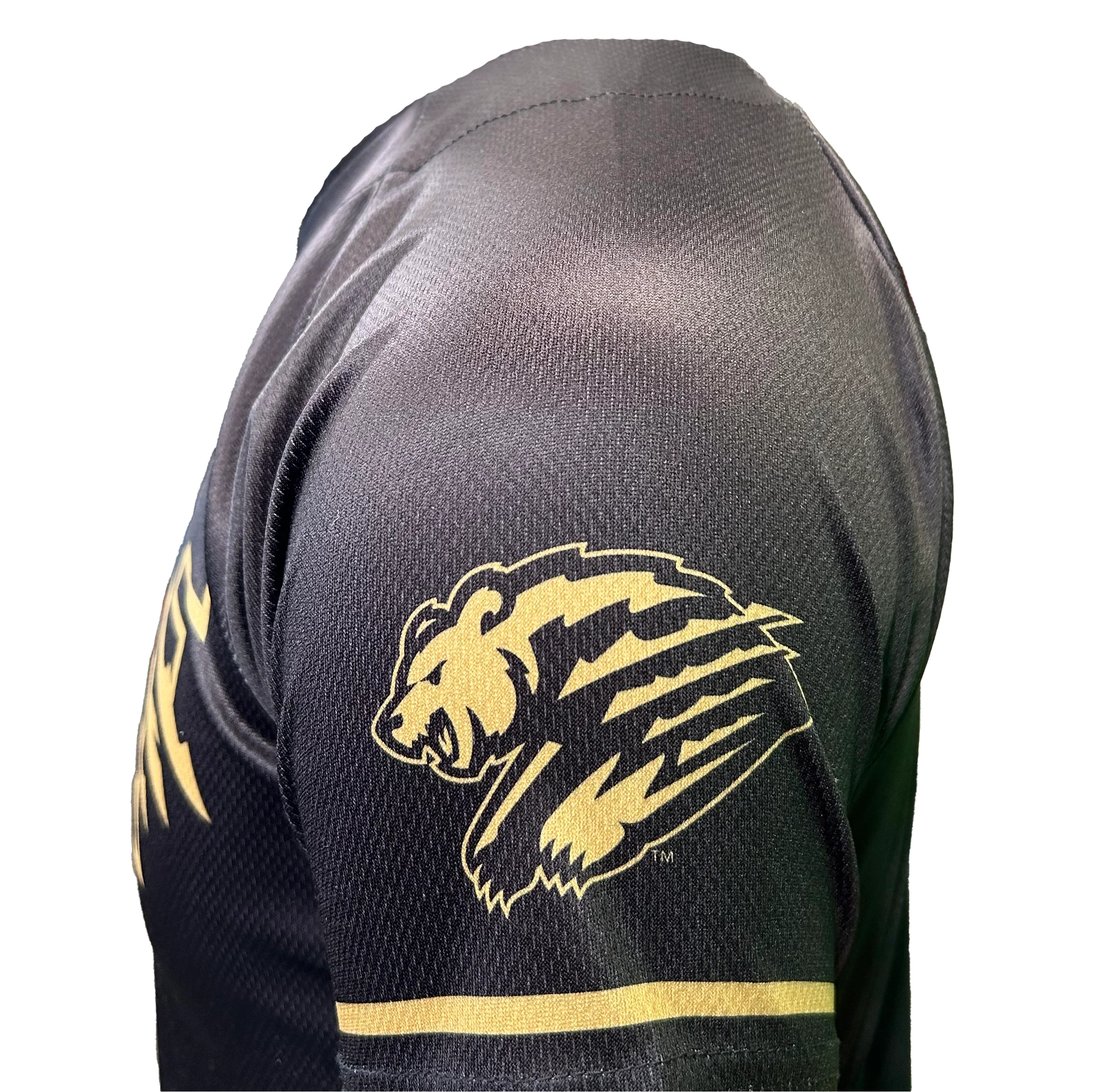 Fresno Grizzlies Youth Sublimated Replica Black/Gold Alt Jersey - Image 2