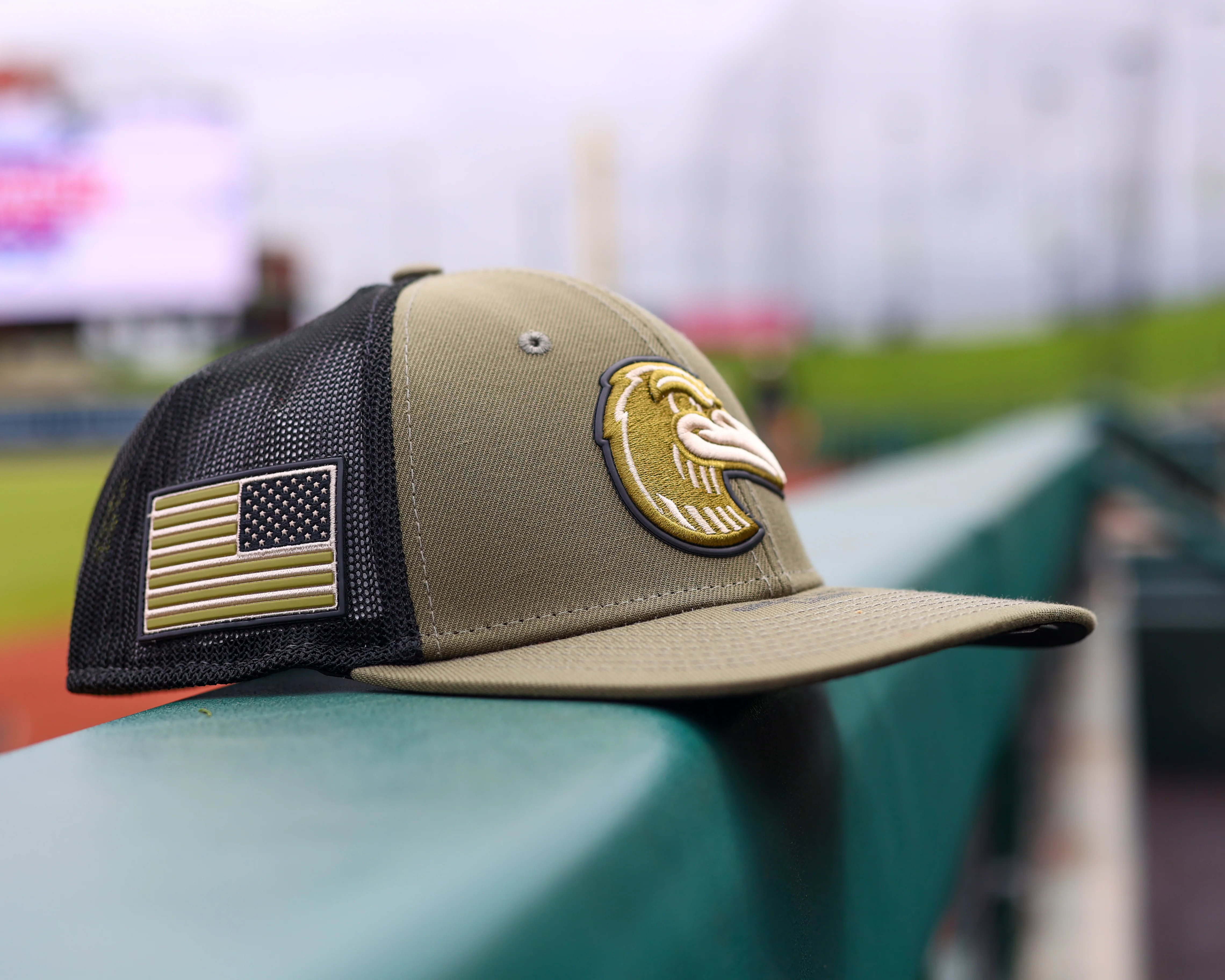 Great Lakes Loons 2026 New Era Armed Forces 39THIRTY M-CROWN Flex-fit Cap - Image 7