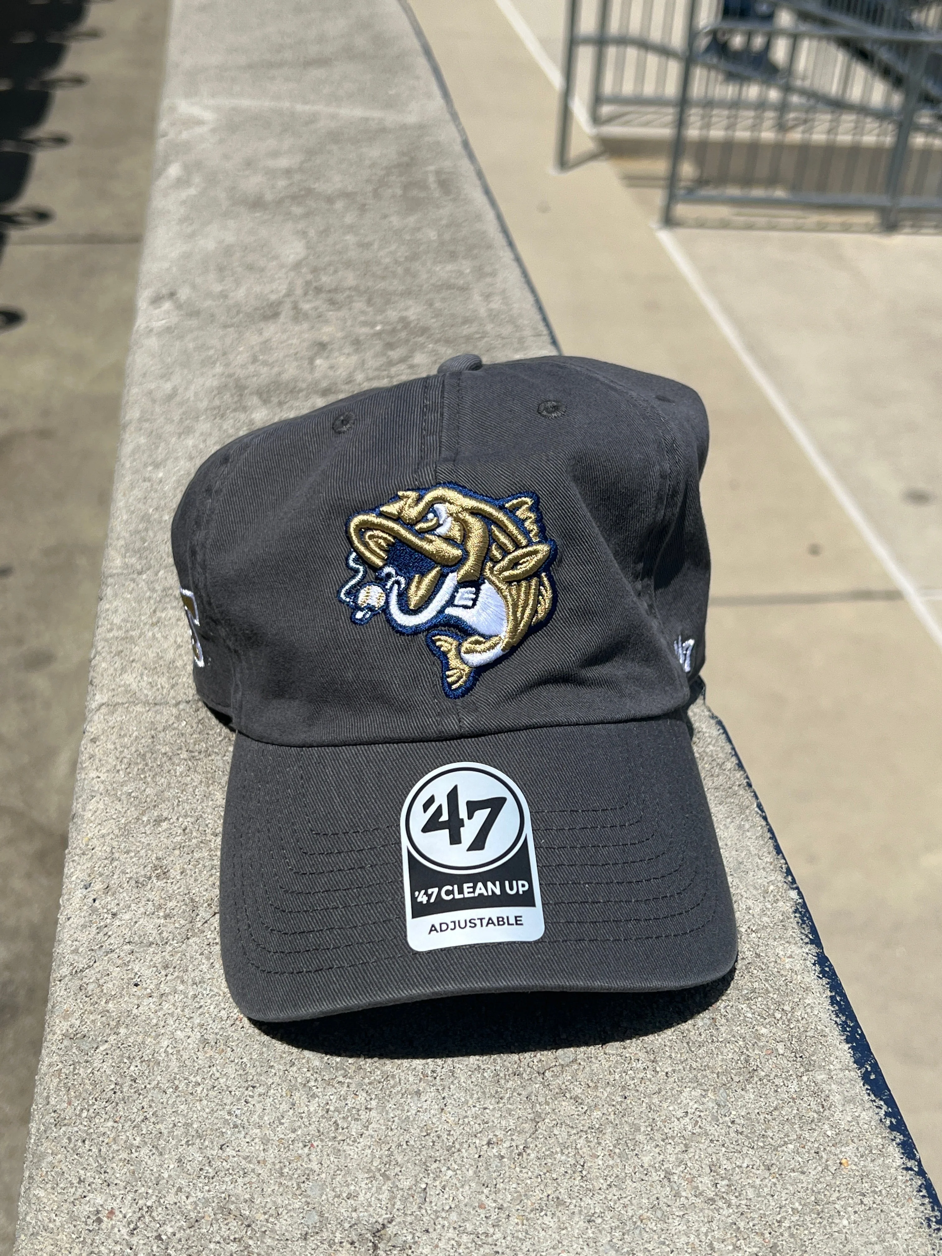 Gwinnett Stripers x GT 47' Brand Clean Up