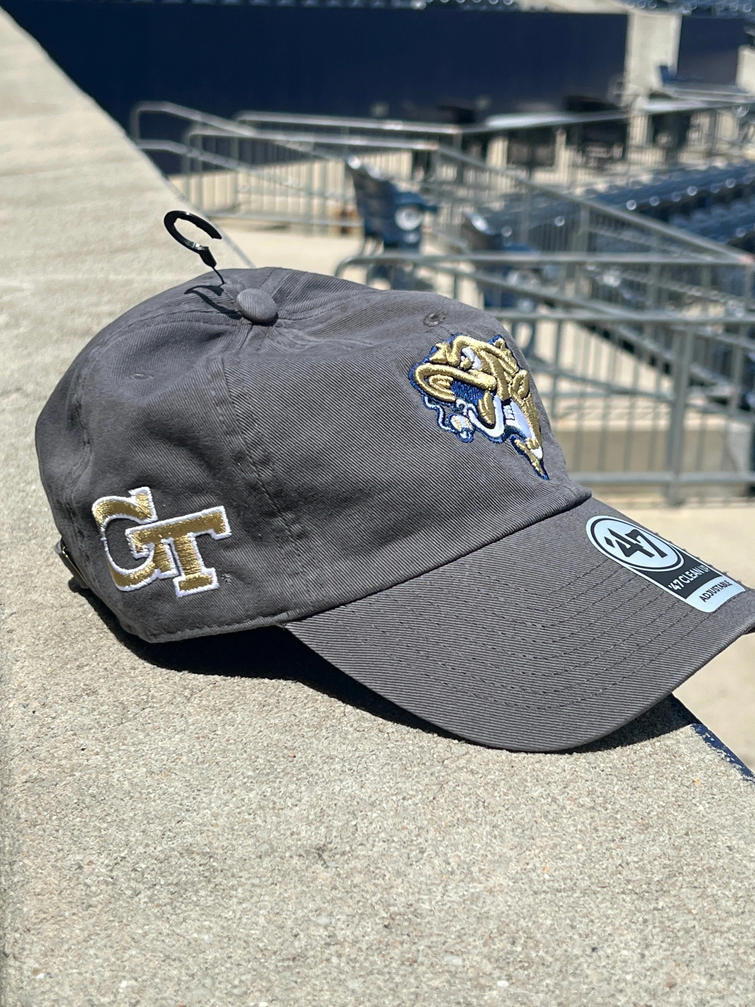 Gwinnett Stripers x GT 47' Brand Clean Up - Image 2