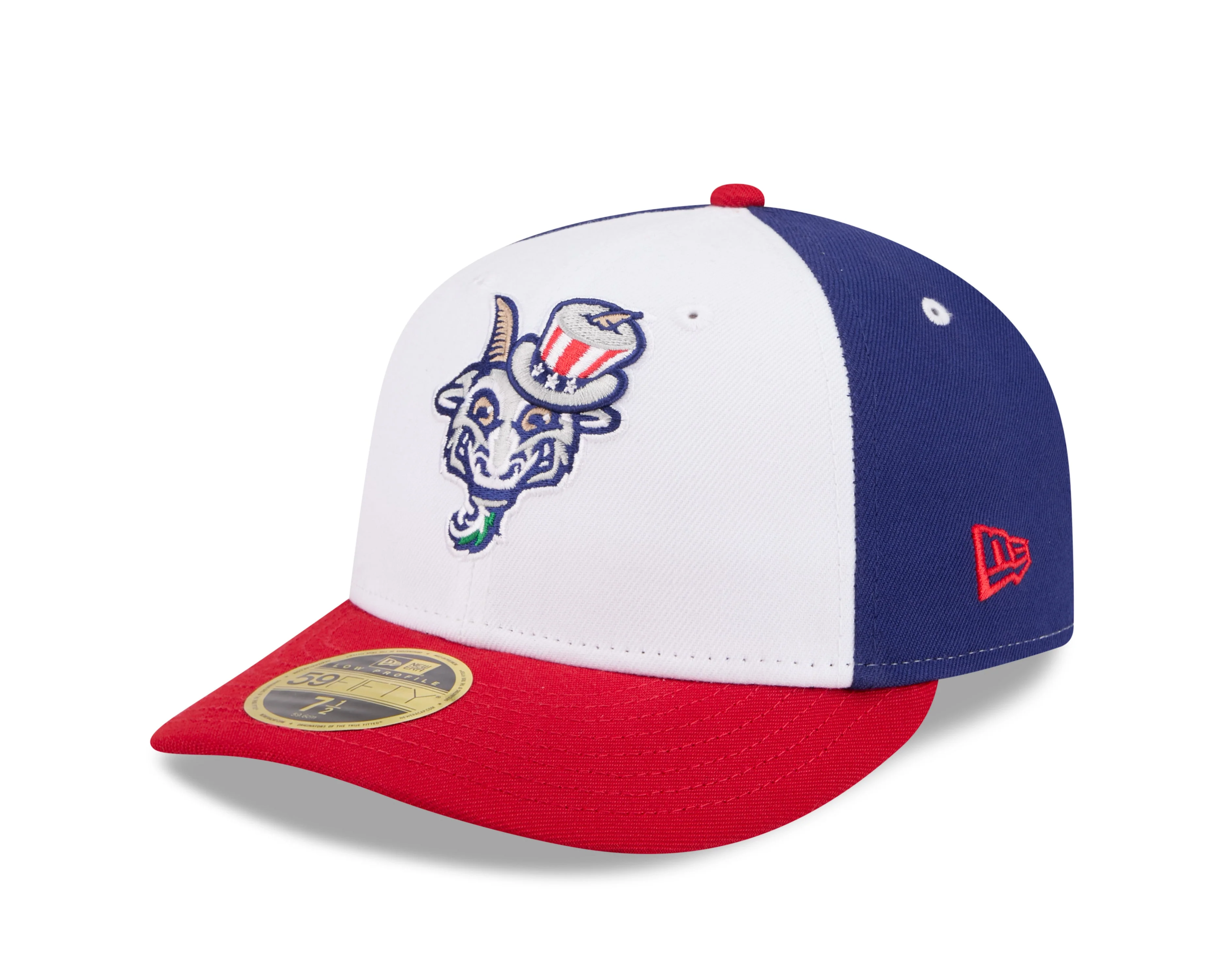 Hartford Yard Goats New Era ALT 3 Low Profile Fitted Cap