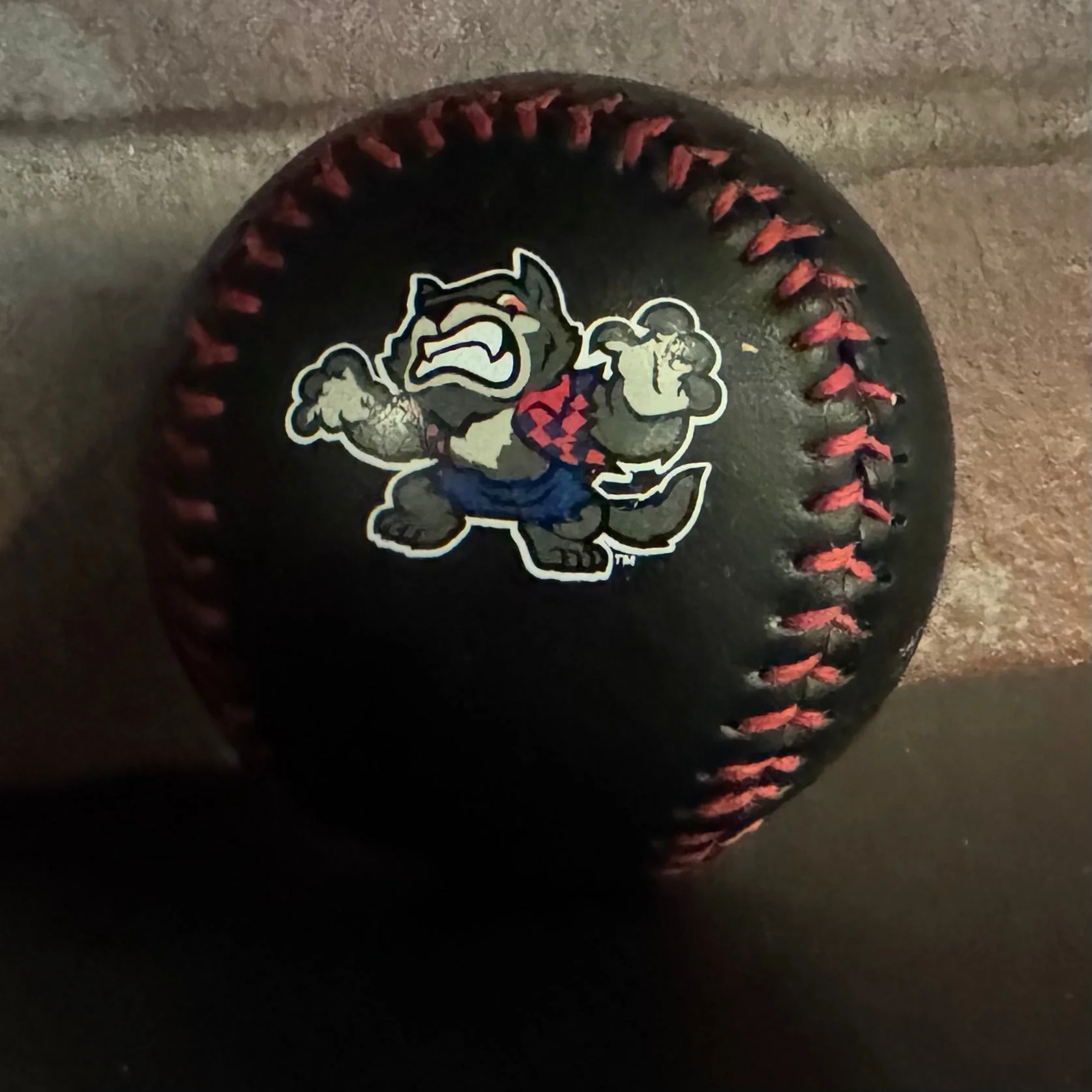 Hill City Howlers Black Logo Baseball