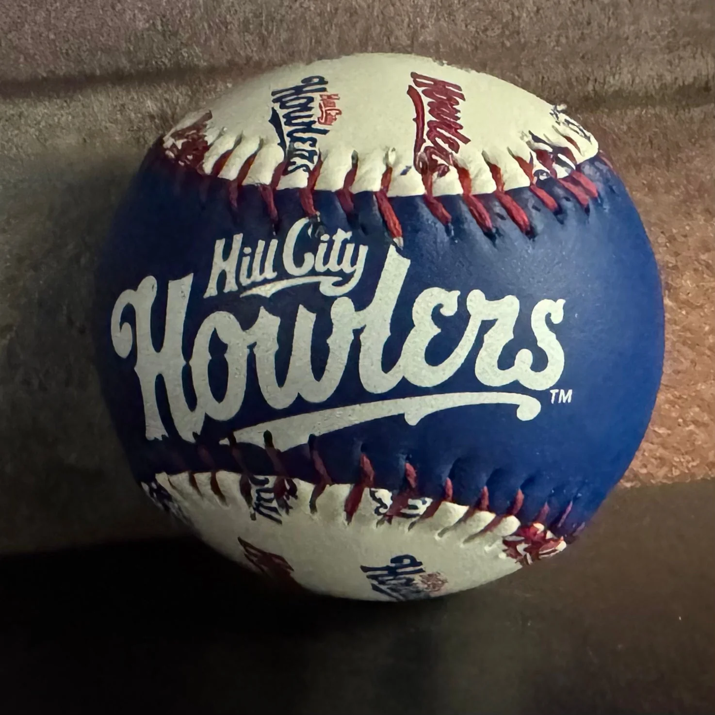 Hill City Howlers White/Blue Wordmark Baseball