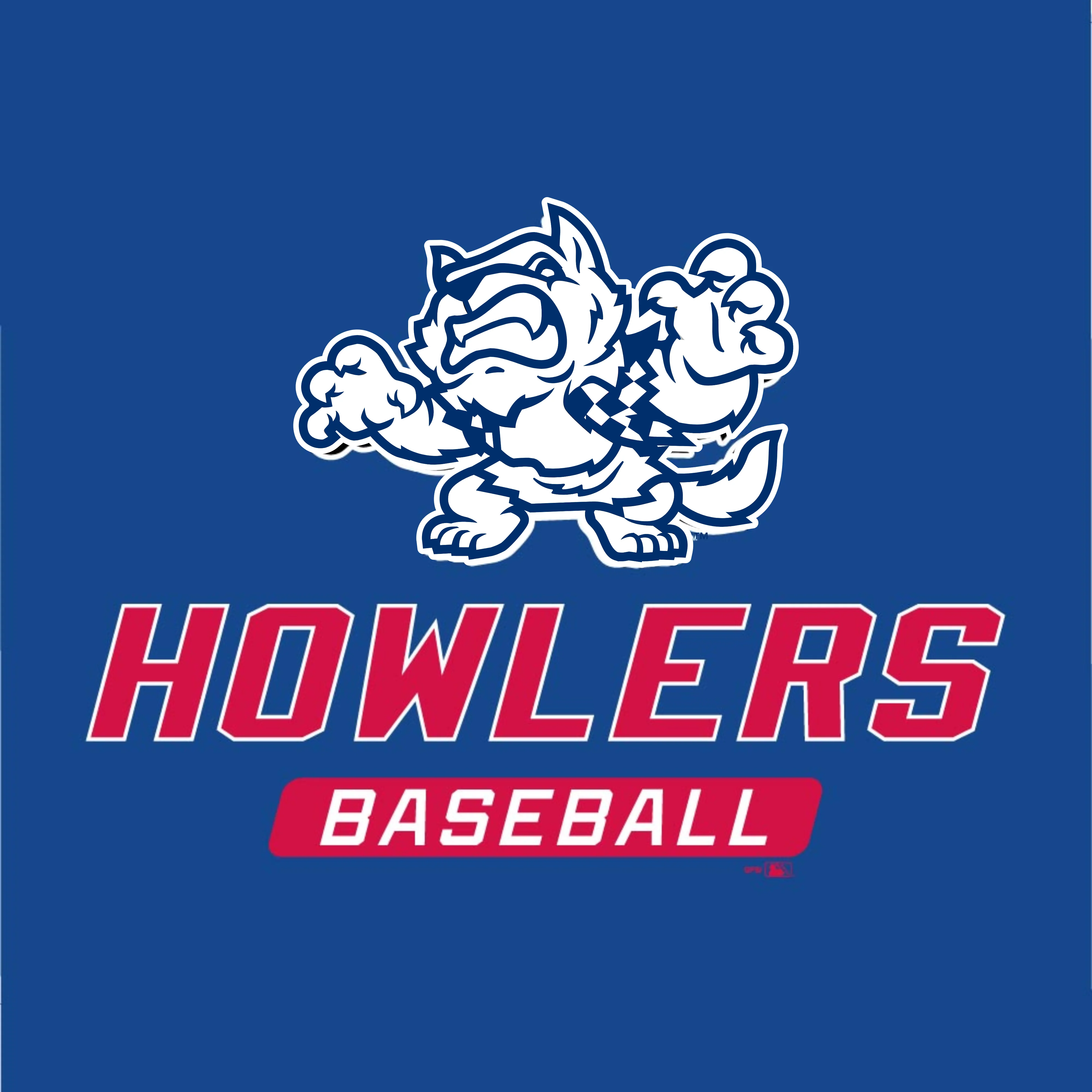 Hill City Howlers Youth Champion Werewolf Tee - Image 2