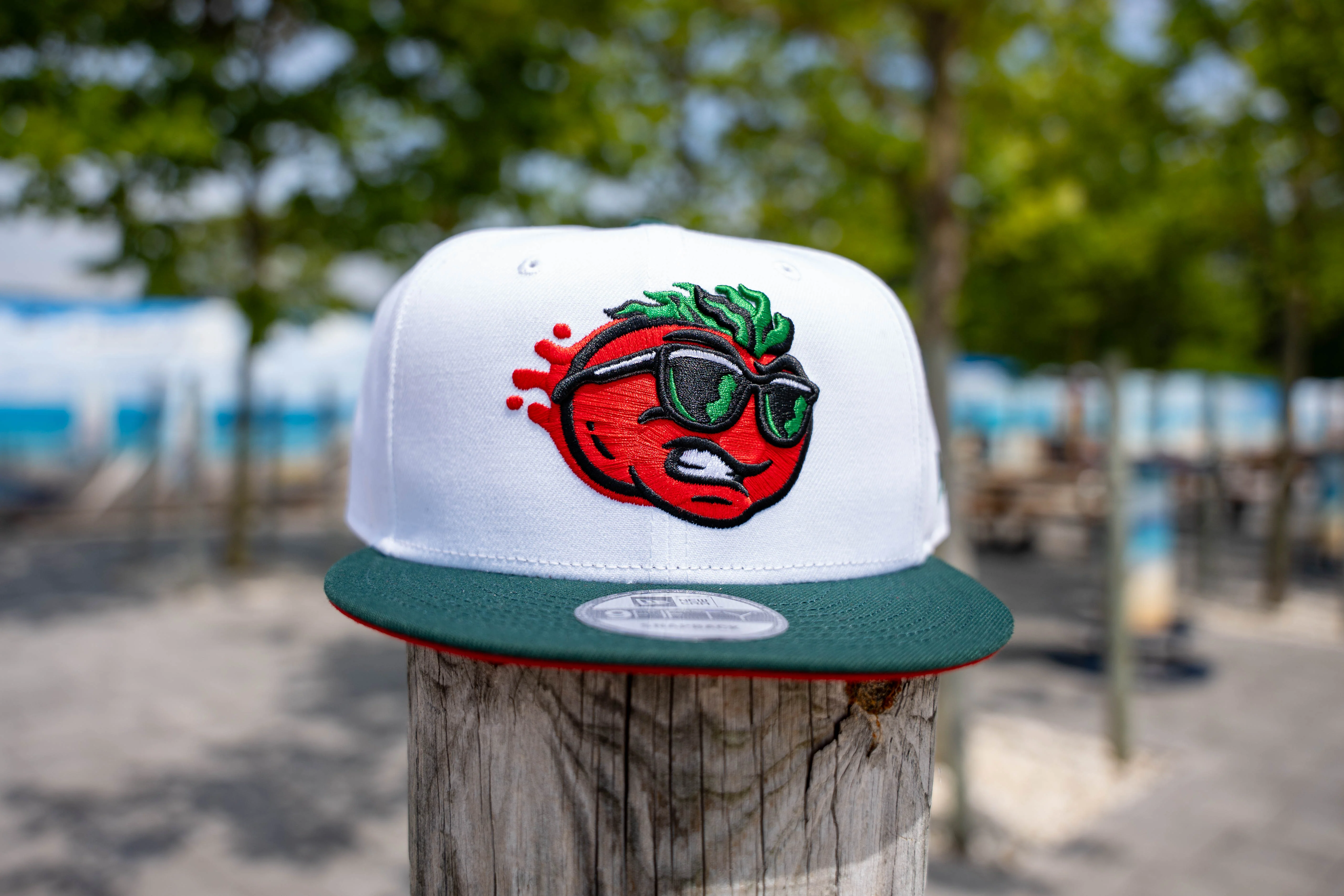 Jersey Shore BlueClaws TNC Jersey Tomatoes New Era 950 Snapback Cap