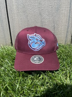 Lehigh Valley IronPigs Sunday Trucker Cap