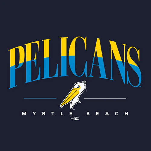 Myrtle Beach Pelicans Champion Ladies Navy Short Sleeve V-Neck Core Tee - Image 2