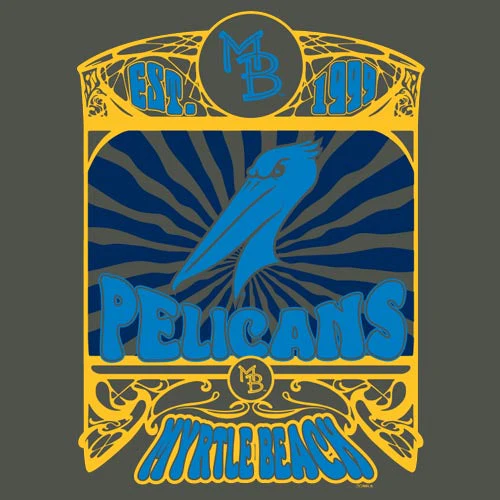Myrtle Beach Pelicans Concept Sports Ladies Charcoal Acid Wash Prism Tee - Image 2
