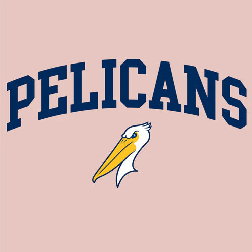 Myrtle Beach Pelicans Soft As A Grape Pink Haze Alternate Softwash Hood - Image 2
